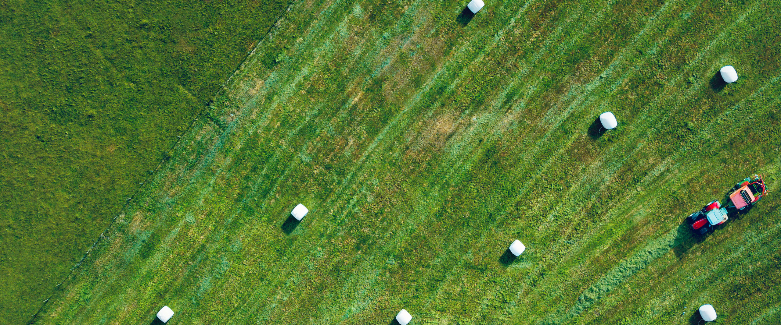 SAa_Sommer2018_WEB_1920x800_nettside11-1